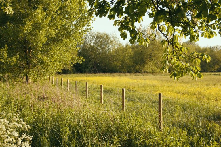 Livestock Fencing is best for keeping your stock safe