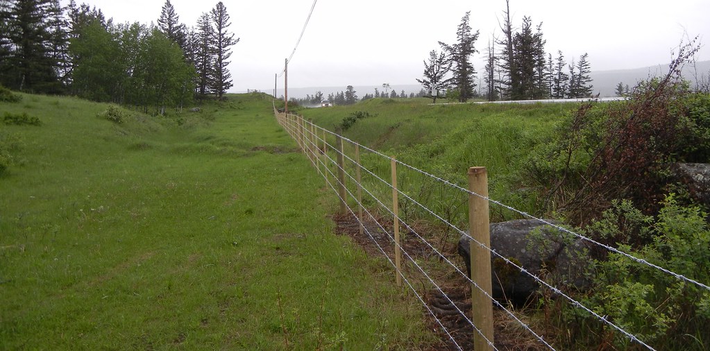 Livestock fencing is crucial to keeping livestock contained, and predators out